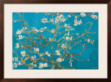 Almond Branches in Bloom, San Remy, c.1890 Framed Giclee Print by Vincent van Gogh