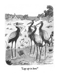 "Legs up to here!" - New Yorker Cartoon Premium Giclee Print by Danny Shanahan