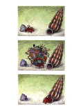 Two column color cartoon showing crab in a small shell walking towards a b… - New Yorker Cartoon Premium Giclee Print by John O'brien