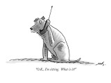 "O.K., I'm sitting.  What is it?" - New Yorker Cartoon Premium Giclee Print by Mick Stevens