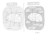 Comparison of Einstein's Brain and Typical Brain. - New Yorker Cartoon Premium Giclee Print by Roz Chast