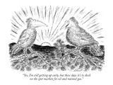 "Yes, I'm still getting up early, but these days it's to check on the spot…" - New Yorker Cartoon Premium Giclee Print by Edward Koren