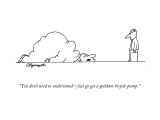 "You don't need to understand—just go get a goddam bicycle pump." - New Yorker Cartoon Premium Giclee Print by Charles Barsotti