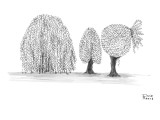 A willow trees branches are pulled into a ponytail. - New Yorker Cartoon Premium Giclee Print by Ihrie Means