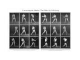 A swing sequence, The American Golfer June 1926 Premium Photographic Print by Unknown Unknown