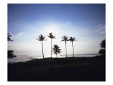 Kaluakoi Golf Club, Hole 3 Premium Photographic Print by Stephen Szurlej