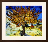 Mulberry Tree, c.1889 Framed Giclee Print by Vincent van Gogh