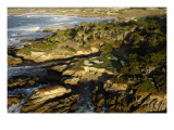 Cypress Point Golf Course, Pebble beach Premium Photographic Print by J.D. Cuban