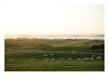 Royal Portrush Golf Club Premium Photographic Print by Stephen Szurlej