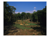 Tot Hill Farm Golf Club, Hole 6 Premium Photographic Print by Dom Furore