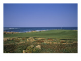 Los Cabos, Hole 6 Premium Photographic Print by Dom Furore