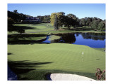 The fourth hole at Baltusrol Golf Club in New Jersey Premium Photographic Print by Stephen Szurlej