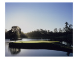 TPC Sawgrass the Stadium Course, Hole 17 Premium Photographic Print by Stephen Szurlej