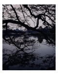Condé Nast, Trunk Archive Premium Photographic Print by Martyn Thompson