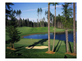 Gold Mountain Golf Club Olympic Course Premium Photographic Print by Stephen Szurlej
