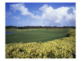 Sandy Lane Country Club Green Monkey, Hole 4 Premium Photographic Print by J.D. Cuban