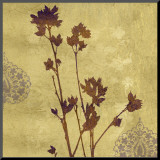 Sharon Rose A Mounted Print by Eloise Ball
