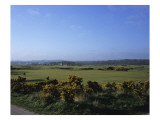 St. Andrews Golf Club Old Course Premium Photographic Print by Stephen Szurlej