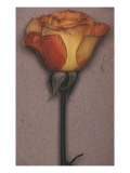 Condé Nast, Trunk Archive Premium Photographic Print by Sheila Metzner