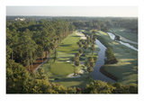 TPC Sawgrass Stadium Course, Hole 6 Premium Photographic Print by Stephen Szurlej