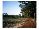 Pinehurst Golf Course No. 2, Hole 12 Premium Photographic Print by Stephen Szurlej