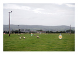 Sheep grazing, Carndonagh, Ireland Premium Photographic Print by Stephen Szurlej