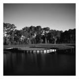 TPC Sawgrass Stadium Course, Hole 17, Black and White Premium Photographic Print by Bill Fields