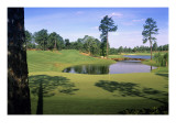 Pinehurst Golf Course No. 4, Hole 4 Premium Photographic Print by Dom Furore