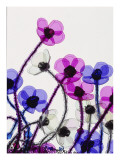 Condé Nast, Trunk Archive Premium Photographic Print by Toby McFarlan Pond