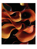 Condé Nast, Trunk Archive Premium Photographic Print by Martyn Thompson