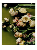 Condé Nast, Trunk Archive Premium Photographic Print by Martyn Thompson