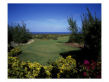Royal Westmoreland Premium Photographic Print by J.D. Cuban