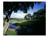 Valderrama Golf Club Premium Photographic Print by Stephen Szurlej