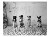 Condé Nast, Trunk Archive Premium Photographic Print by Mary Ellen Mark