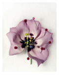 Condé Nast, Trunk Archive Premium Photographic Print by Michael Baumgarten
