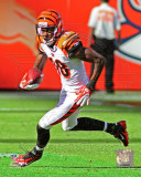 A.J. Green 2011 Action Photo