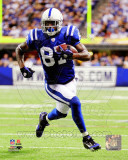 Reggie Wayne 2011 Action Photo