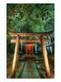 Hidden Temple in Bamboo at Night Premium Photographic Print by Trey Ratcliff