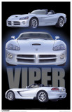 Dodge Viper Masterprint