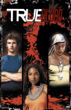 True Blood - Comic 6B Masterprint