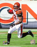 Cedric Benson 2011 Action Foto
