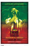Bob Marley - Concert Masterprint