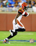 A.J. Green 2011 Action Photo A.J. Green 2011 Action Photo