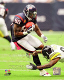 Andre Johnson 2011 Action Foto