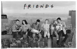 Friends Lunch on a Skyscraper Masterprint
