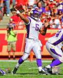 Donovan McNabb 2011 Action Photo