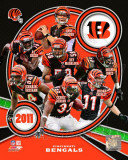Cincinnati Bengals 2011 Team Composite Photo