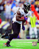 Ed Reed 2011 Action Photo
