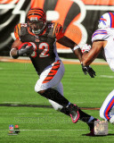 Cedric Benson 2011 Action Foto