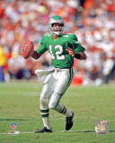 Randall Cunningham Action Foto